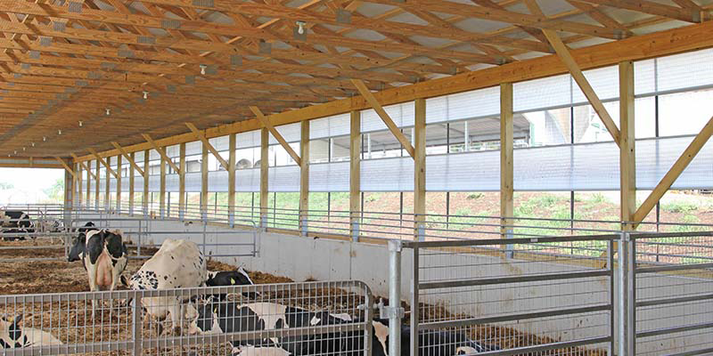 Agricultural Curtain Systems - Double Roll up Curtains, Center Roll Up ...